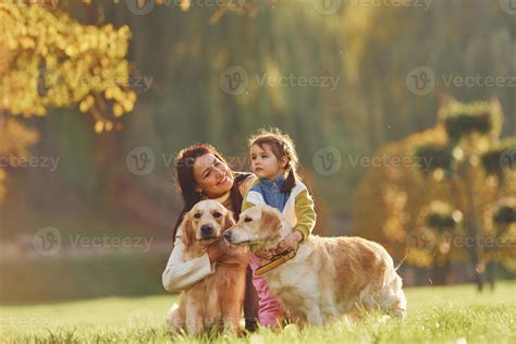 mère avec sa fille se promène avec deux chiens golden retriever dans le