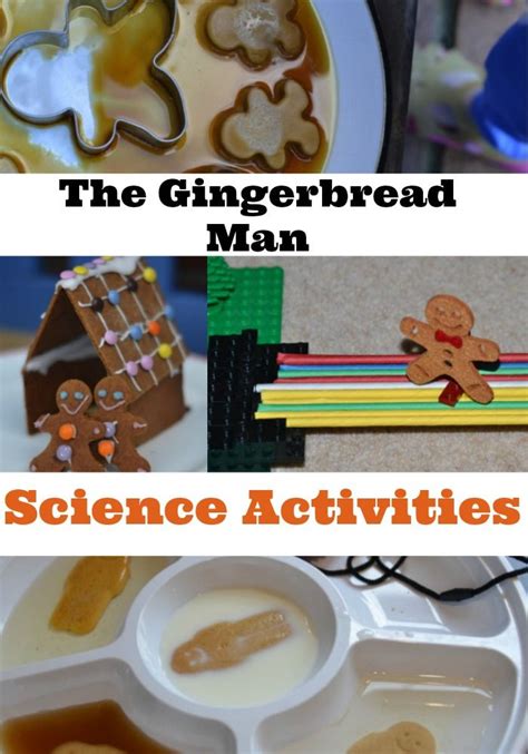 The Gingerbread Man Science Experiments Gingerbread Man Activities