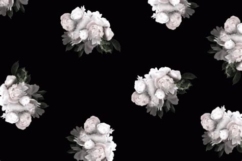 Vintage Peonies Wallpapers Top Free Vintage Peonies Backgrounds