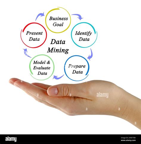 Five Components Of Data Mining Stock Photo Alamy