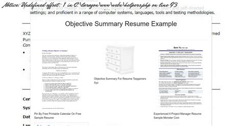 Objective Summary Resume Example