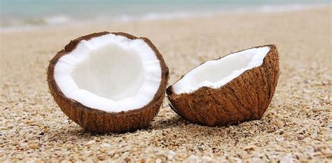 Les Avantages De Manger Des Noix De Coco Jardin De Grand Meres