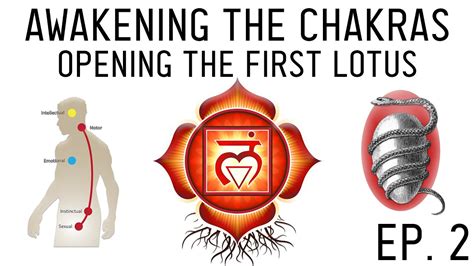 How To Awaken The Chakras Activate The Muladhara Root Chakra Ep 2 Youtube