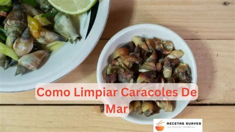 Como Limpiar Caracoles De Mar Consejos Esenciales Y Efectivos