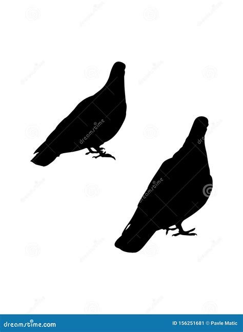 Two Black Pigeon Silhouettes On White Stock Vector Illustration Of