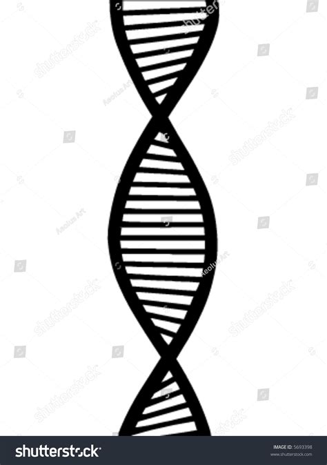 Dna Vector - 5693398 : Shutterstock