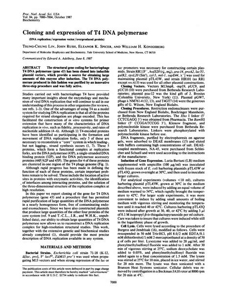 Pdf Cloning And Expression Of T Dna Polymerase Dokumen Tips