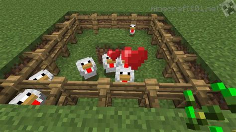 Basic Chicken Farm Tutorial Minecraft 101