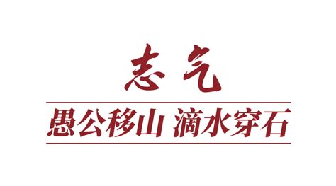 2023·贺词里的中国力量 西部网（陕西新闻网）