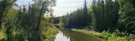 Fish Creek Provincial Park Alberta Canada 198 Reviews Map Alltrails