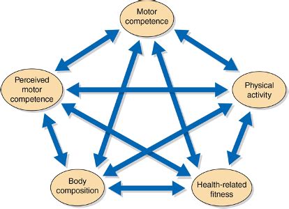 Lifespan Motor Development Exam Flashcards Quizlet