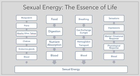 Spiritual Diagram Of How Sexual Energy Flows Between Two Peo