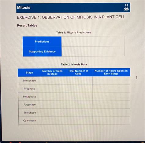 Solved Mitosis Exercise Observation Of Mitosis In A Plant Chegg