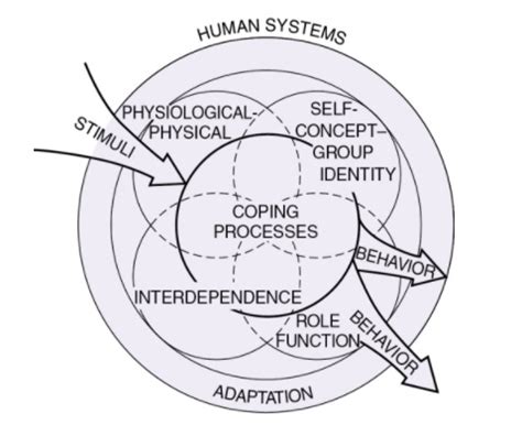 Callista Roy Adaptation Model Diagram Sister Callista R