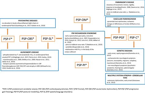 Frontiers Differential Diagnosis Of Rare Subtypes Of Progressive Supranuclear Palsy And Psp