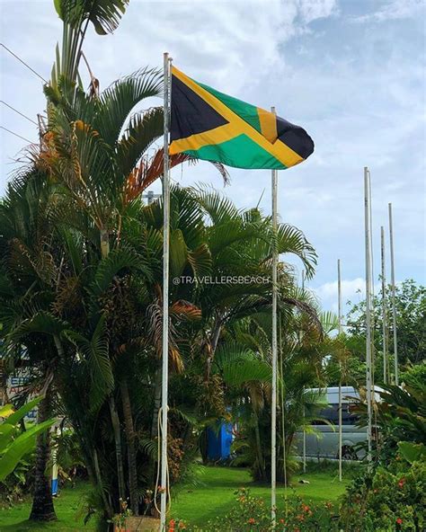 Jamaica Independence Day Celebrations - Design Corral