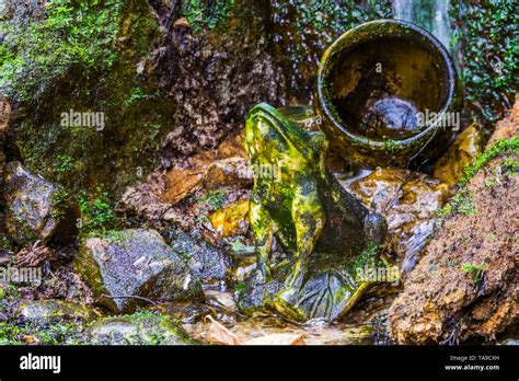 Stone Frog Sculpture With Streaming Water In The Background Garden