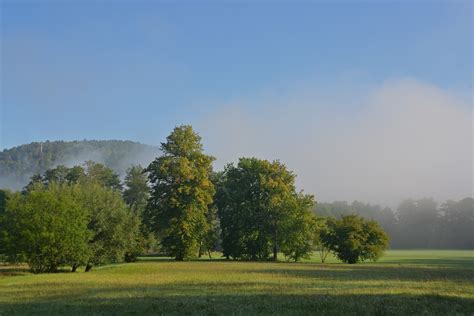 Sunrise Fog Trees Free Photo On Pixabay