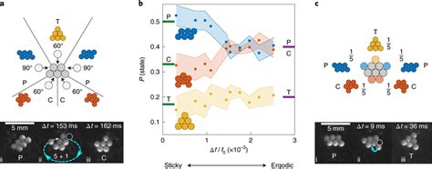 Tuning Six Particle Assembly Between Sticky And Ergodic Limits Near