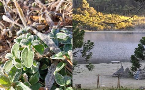 Monte Verde Amanhece Congelada E Menor Temperatura Do Pa S Nesta