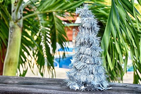 10 Reasons To Travel To Tonga This Christmas Tonga Pocket Guide