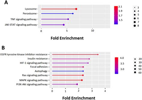 Pathway Enrichment Analysis Of The Target Genes Of Upregulated A And