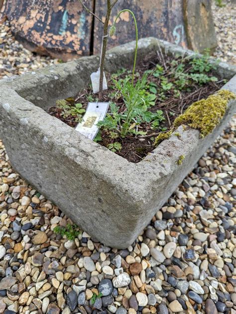 Lot 523 A Cotswold Stone Trough