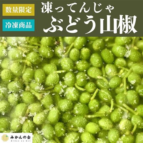 超‼️数量限定💦冷凍の山椒🍃を販売｜株式会社みかんの会 和歌山有田のぶどう山椒通販 新着情報 みかんの通販は美味しい株式会社みかんの会