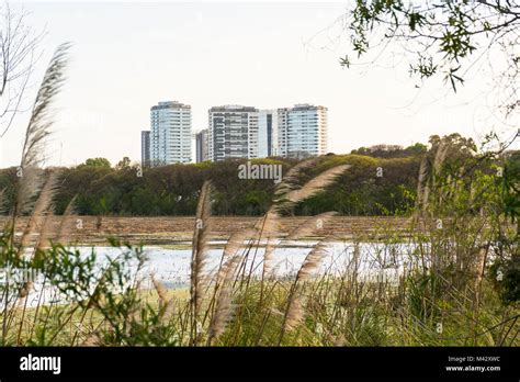 Reserva Ecológica De Puerto Madero Fotografías E Imágenes De Alta Resolución Alamy