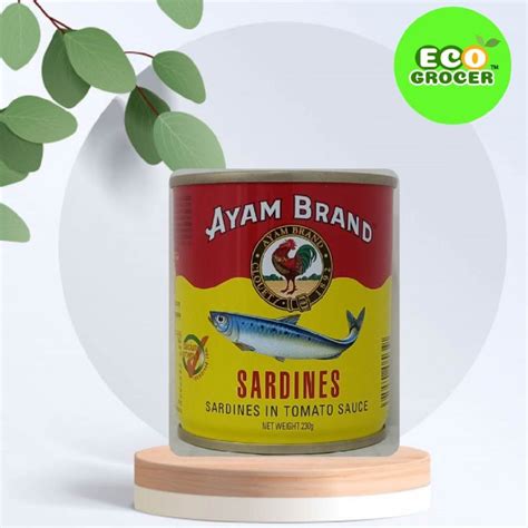 Ayam Brand Sardines In Tomato Sauce 沙丁鱼番茄酱 230g Lazada