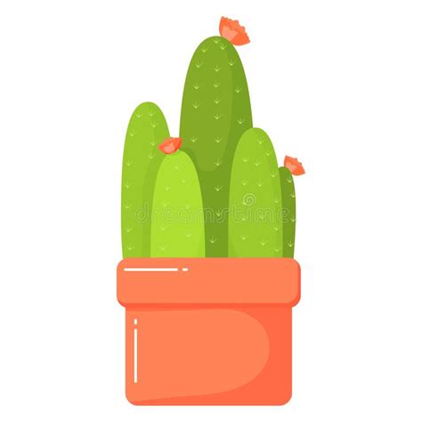 Cactus In A Red Pot Stock Vector Illustration Of Indoor 263896777