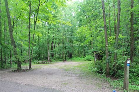 Campsite 104 In Mara Provincial Park Campground At Mara Provincial Park