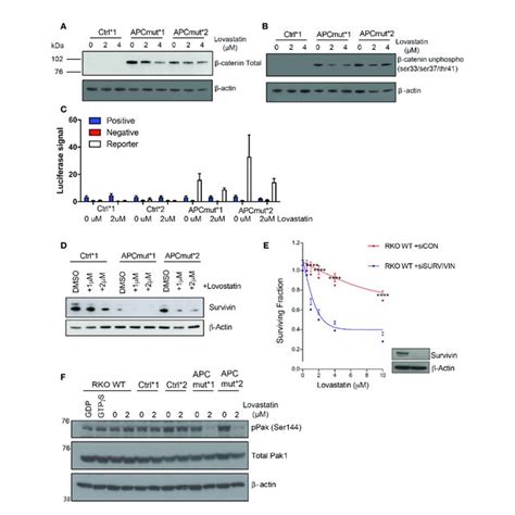 Sensitivity To Statins In Apc Mutant Cells Is Mediated Via The