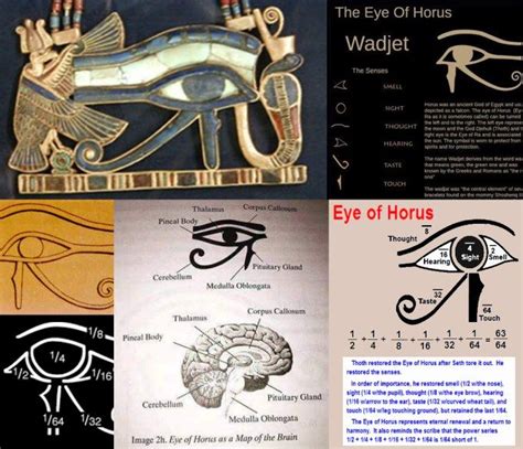 Eye Of Ra Different Parts Of The Eye Of Horus Were Thought To Be Used