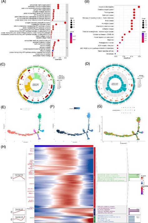 Figure From Machine Learning And Singlecell Transcriptome Profiling