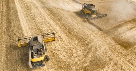 Alertan ante el desabastecimiento de cereal que podría afectar también