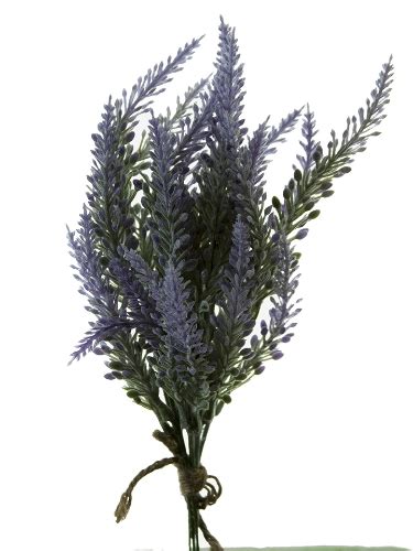 American Best. 12" LAVENDER BUNDLE