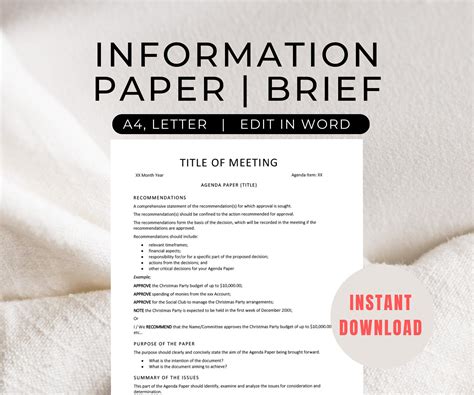 Briefing For Ceo Manager Executive Information Brief Word Template