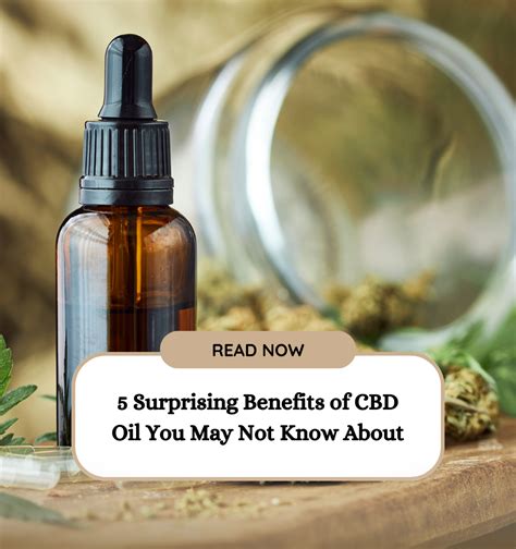 5 Surprising Benefits Of Cbd Oil You May Not Know About Elitemii