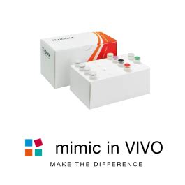 riboxx RNA Technologies - conmir mirna with increased serum stability ... 