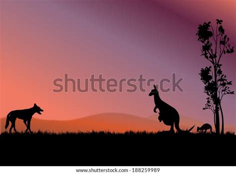 Dingo Hunting Kangaroos Sunset Stock Vector (Royalty Free) 188259989 ...