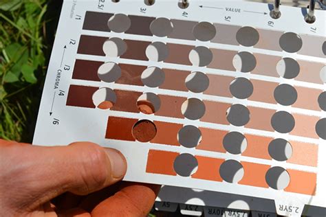 Cómo usar la tabla de color Munsell en la descripción y clasificación