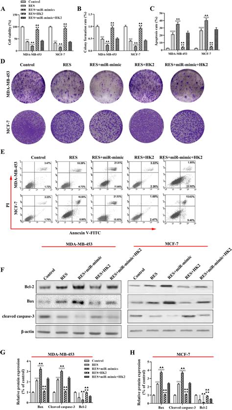 Res Treatment Suppresses Malignant Biological Behavior Of Breast Cancer