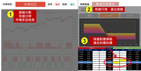 選擇權多空策略寶 選擇權 理財寶