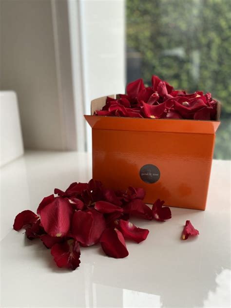 Fresh Rose Petals - Petal & Rose