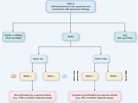 External Validation Of Alk And Ros1 Fusions Detected Using