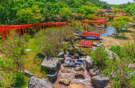 鳥居が連なる絶景神社5選！千本鳥居など圧巻の美しい光景を見に行こう＜全国・2022＞ ｜じゃらんニュース