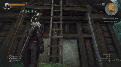 How To Kill A Katakan In The Witcher 3