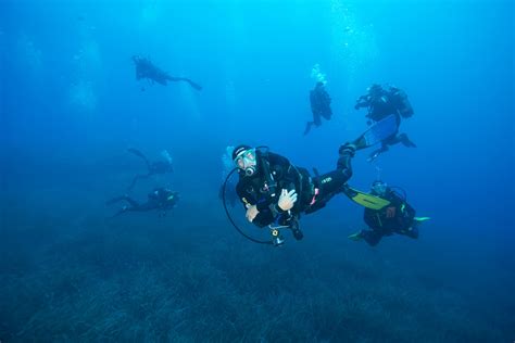 Formation De Plong E Ssi Marina Di Campo Pour D Butants Partir De