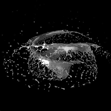 Splash 3d Model